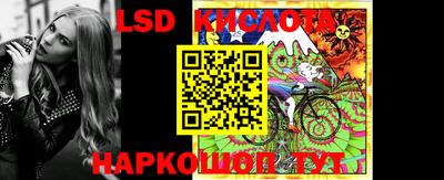 индика Бийск