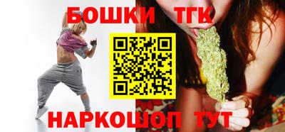 индика Бийск