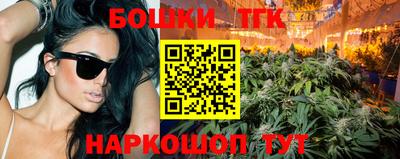 индика Бийск