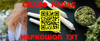 индика Бийск