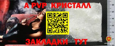 индика Бийск
