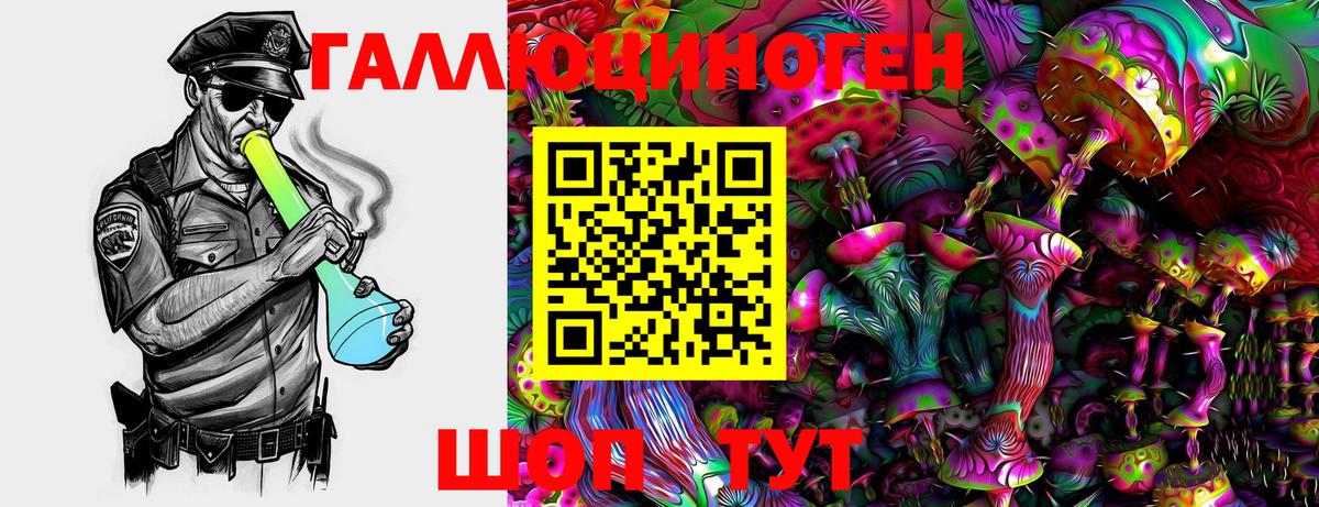 Псилоцибиновые грибы Cubensis Выборг