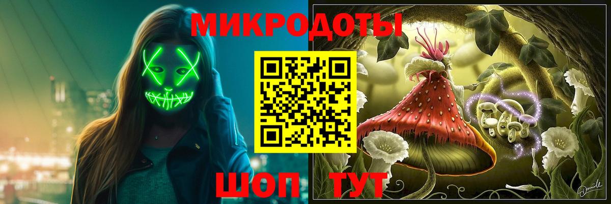 Выборг  Псилоцибиновые грибы Magic Shrooms  Вход с VPN 